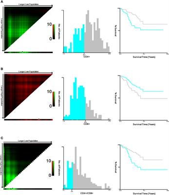An Immune-Clinical Prognostic Index (ICPI) for Patients With De Novo Follicular Lymphoma Treated With R-CHOP/CHOP Chemotherapy